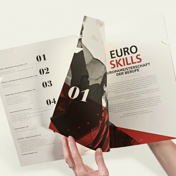 EuroSkills 2020 GmbH Strategie Magazin