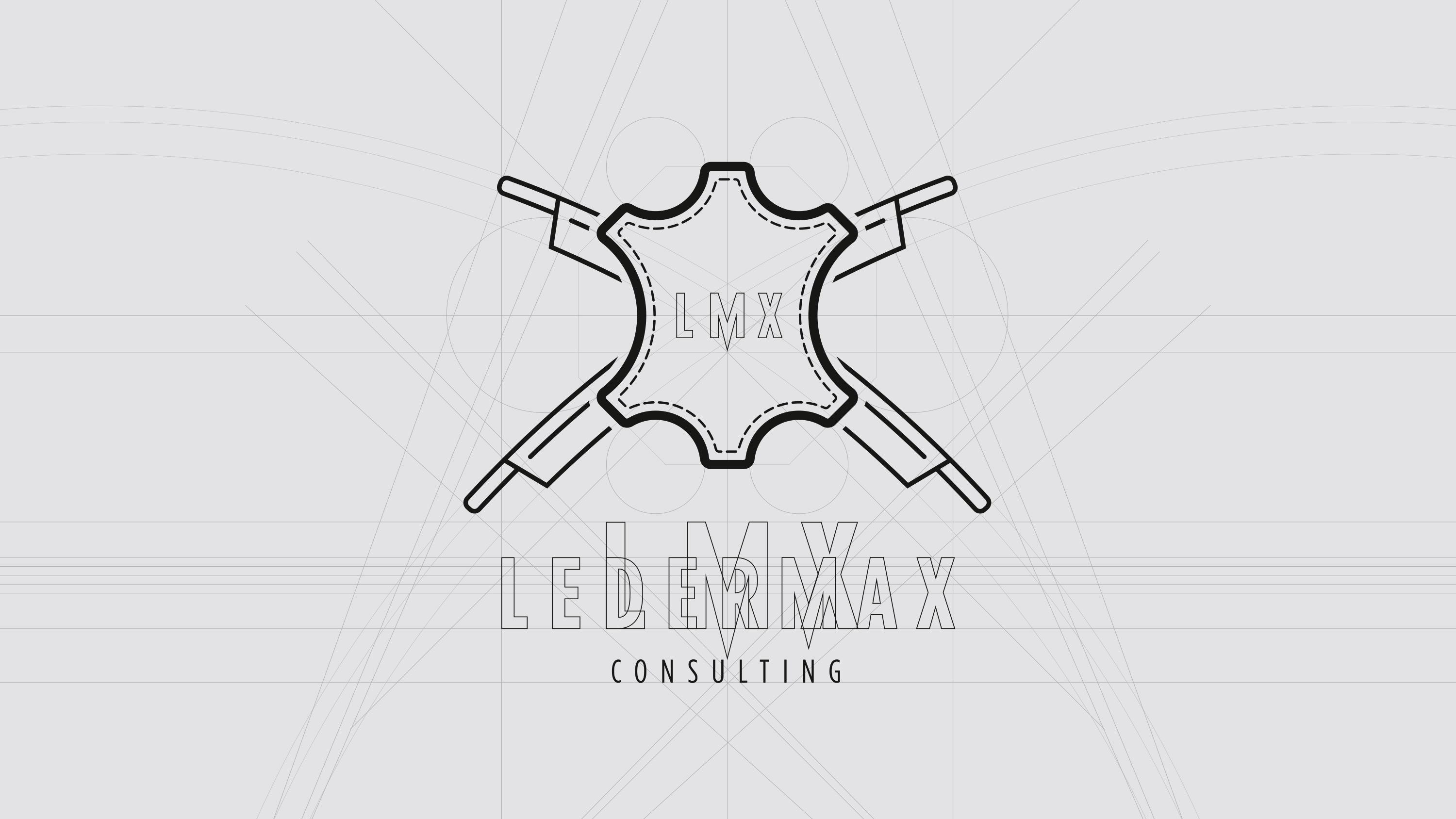 Ledermax Consulting Logo