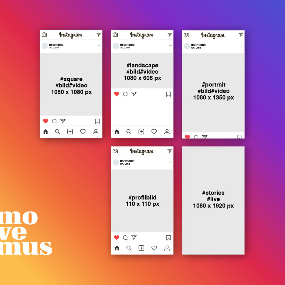 Movemus Die richtigen Bildgrößen für Facebook und Instagram